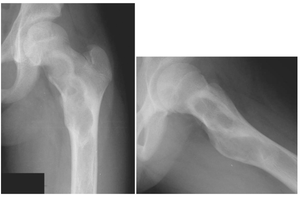 Doktor Mehmet Subaşı